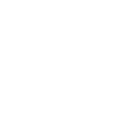 Hunaric Logo White ( Without Background )